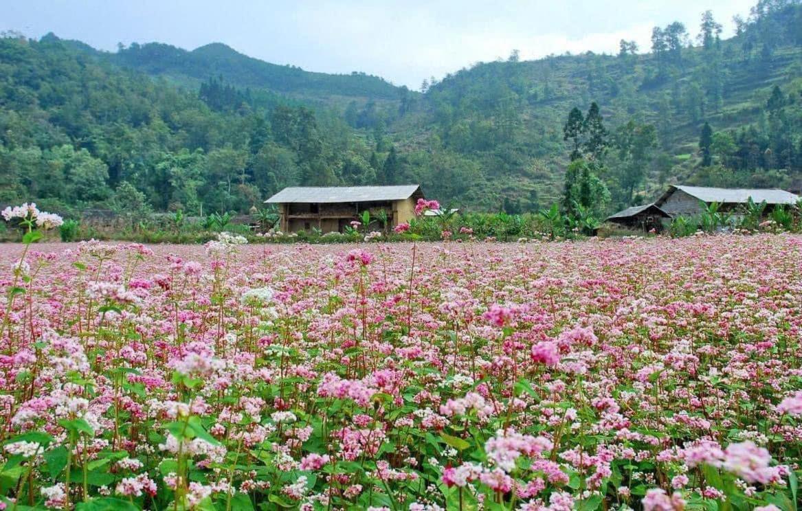 Thuy Anh Hotel ها جيانج المظهر الخارجي الصورة